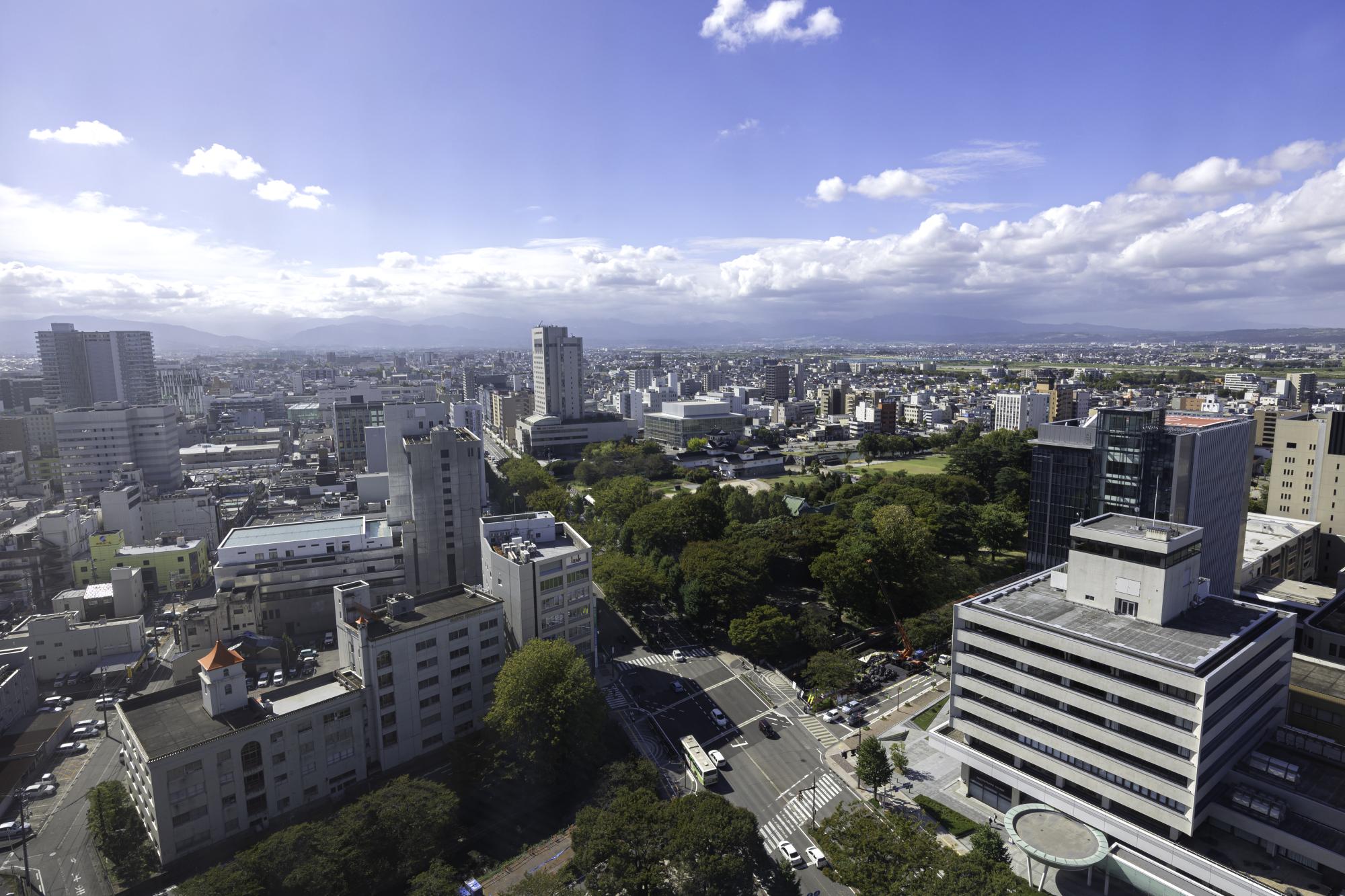 高岡市の害虫・害獣駆除サービス